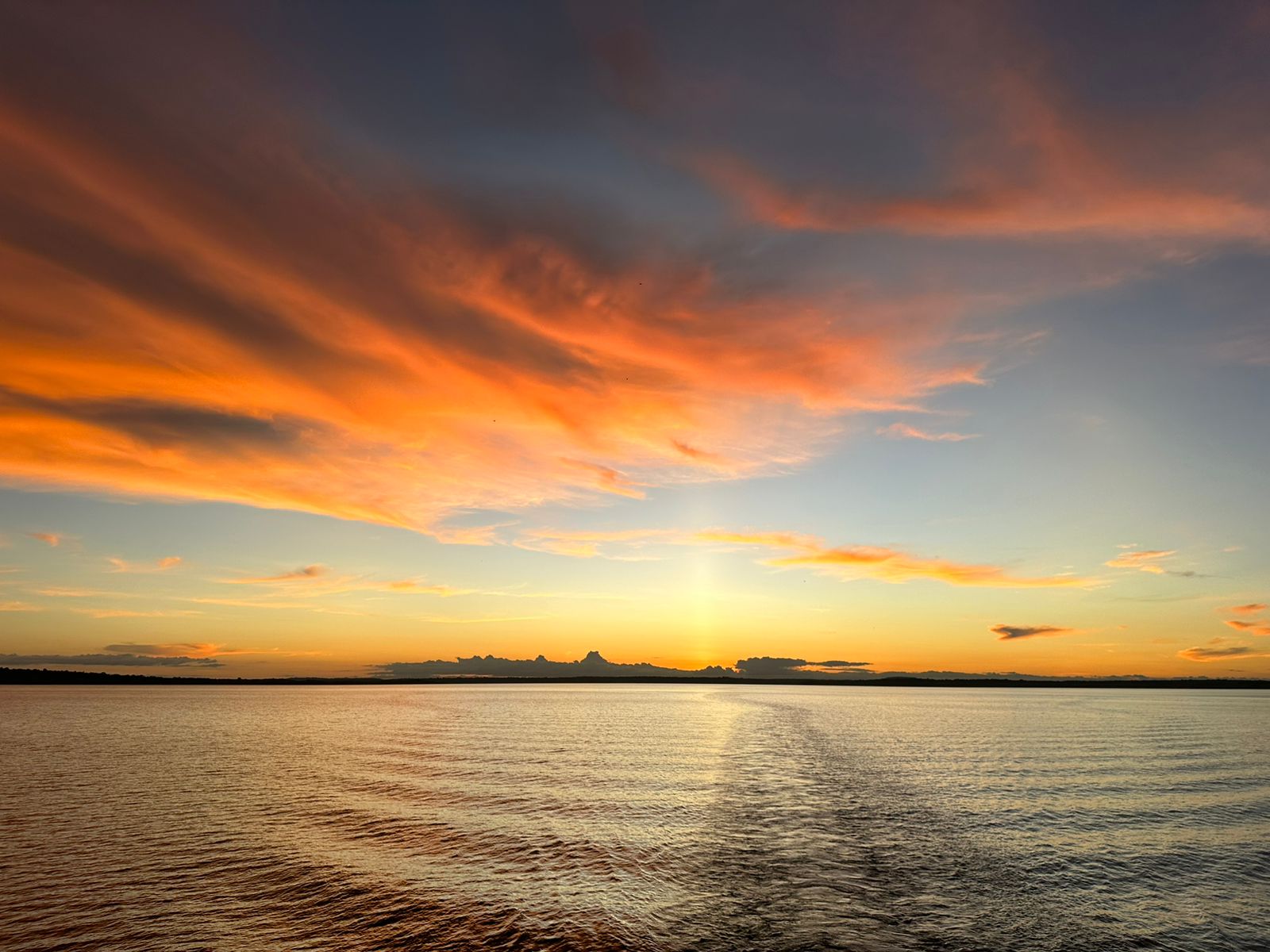 Gabriela Schonenberg 2