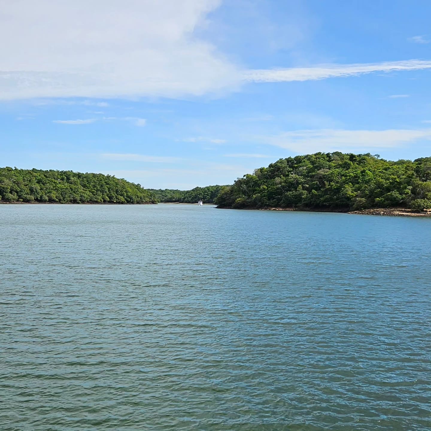 Karina Bacciotti Carvalho Bittencourt 4